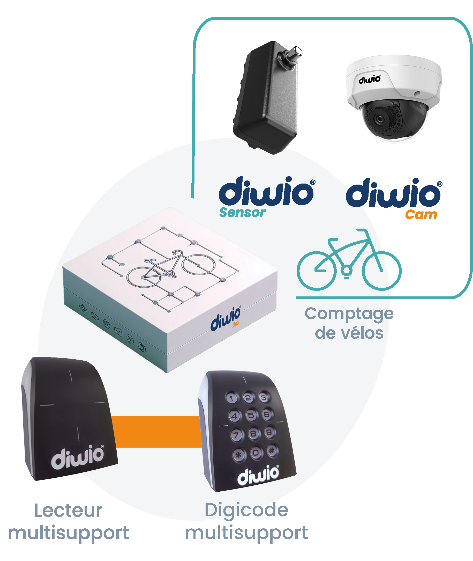 Options-Diwio Box