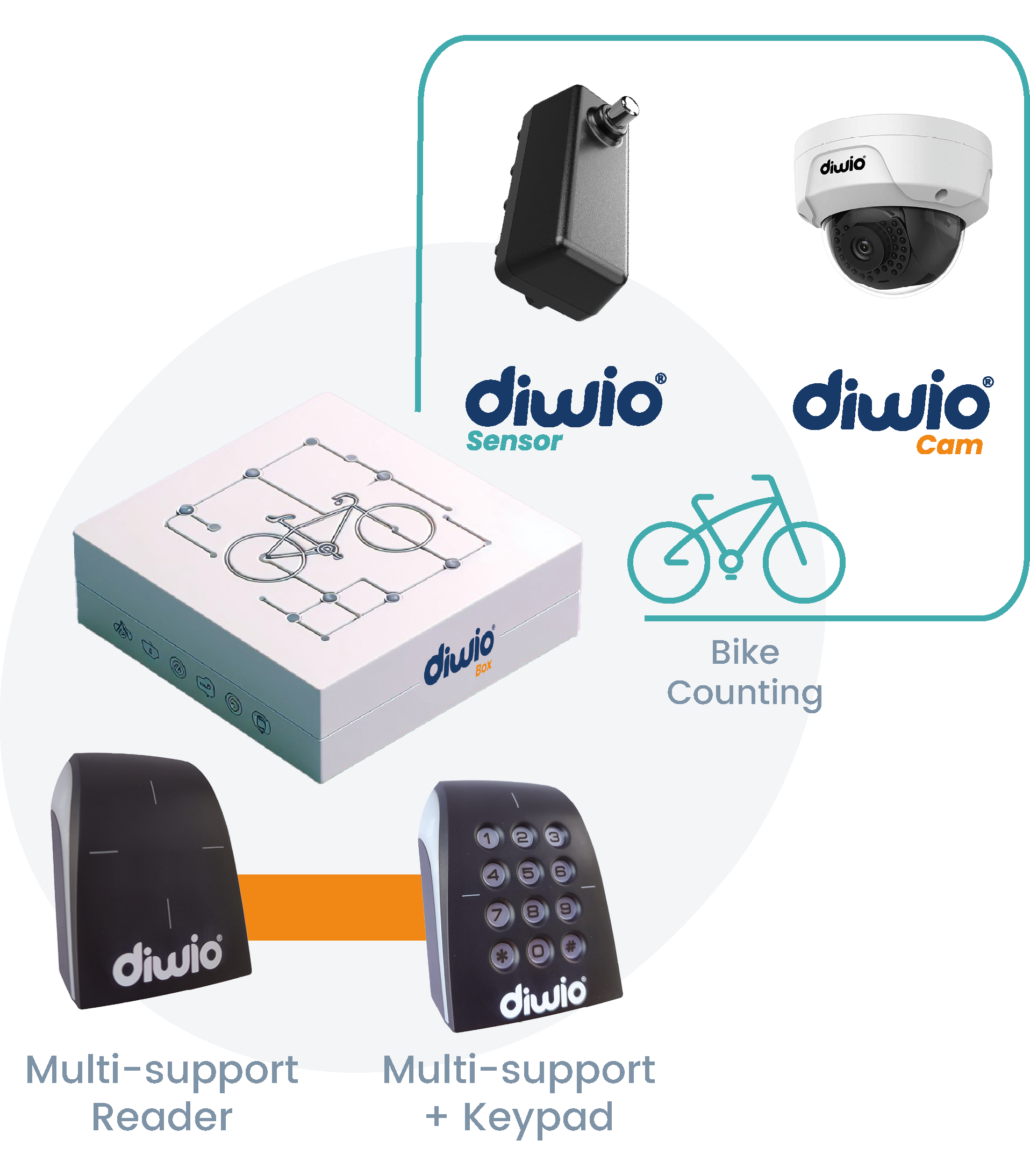 Options-Diwio Box_en